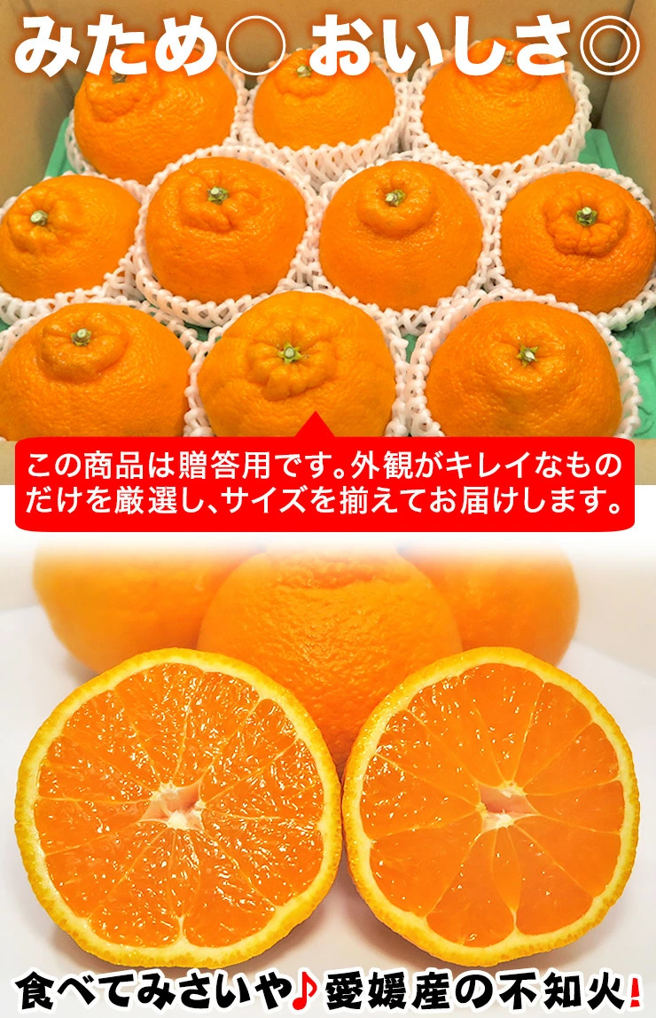 でこポンず様 熊本産 デコポン” 秀・優品 7～12玉 約2.5kg【予約 1月以降】 送料無料