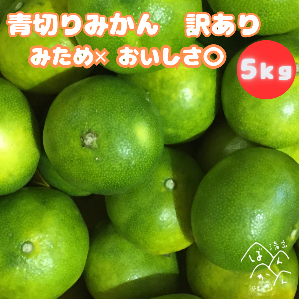 コチバン　愛媛県産　デコポン　10kg ＋5kg コチバン 愛媛県産 デコポン 10kg ＋5kg デコポン 訳あり 不知火