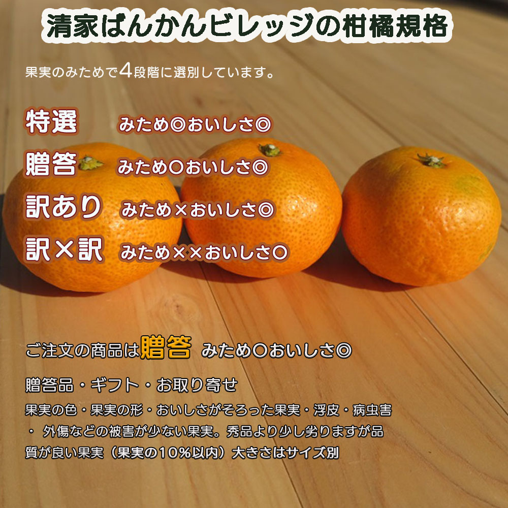 小玉みかん 10kg 》愛媛県産 極早生ミカン 小玉2S-S「5kg×2箱」みため