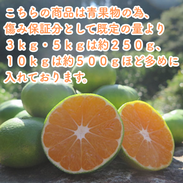 小玉みかん 10kg 》愛媛県産 極早生ミカン 小玉2S-S「5kg×2箱」みため