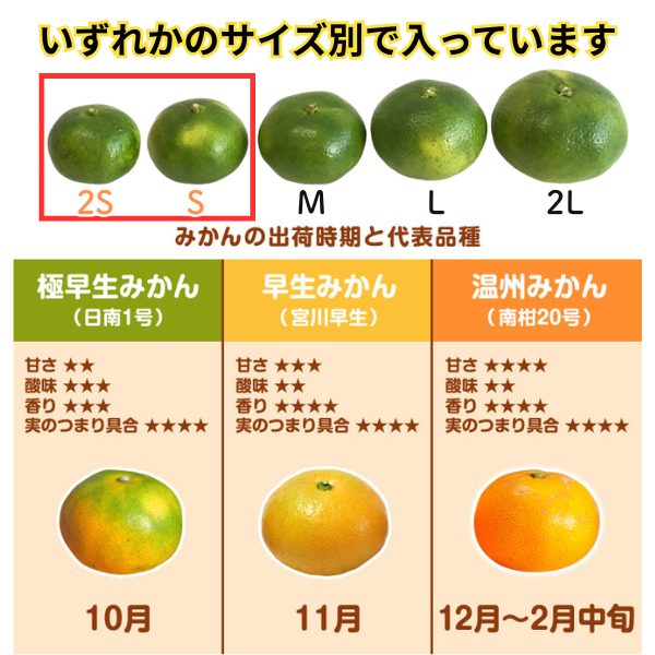 小玉みかん 10kg 》愛媛県産 極早生ミカン 小玉2S-S「5kg×2箱」みため
