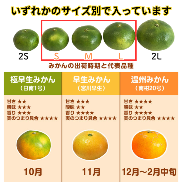 極早生みかん 5kg【秀品】ギフト S・M・Lサイズ別（40個～60個）みため
